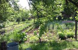 Casa de vanzare, 214 mp, teren aferent 972 mp, zona linistita