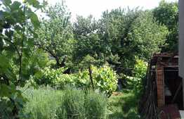 Casa de vanzare, 214 mp, teren aferent 972 mp, zona linistita