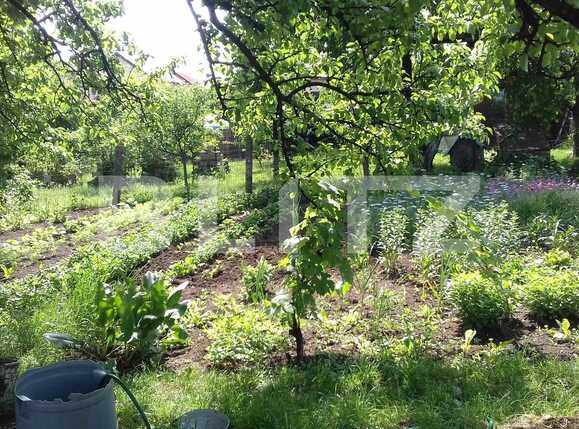 Casa de vânzare 4 camere Dambul Rotund - 31970CV | BLITZ Cluj-Napoca | Poza2