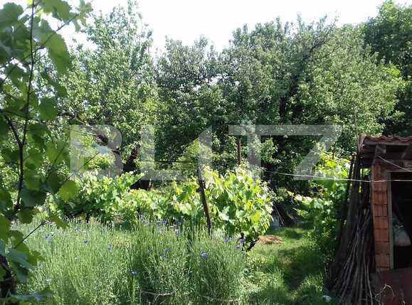 Casa de vânzare 4 camere Dambul Rotund - 31970CV | BLITZ Cluj-Napoca | Poza1