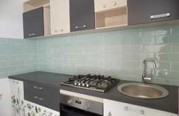Apartament 1 camera, 38 mp, decomandat, Pet Friendly, mobilat modern, zona Iulius Mall