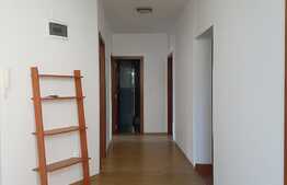 Spatiu Birouri, 100 mp, zona Sigma Center