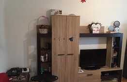 De vanzare garsoniera, 24 mp, balcon, zona Profi