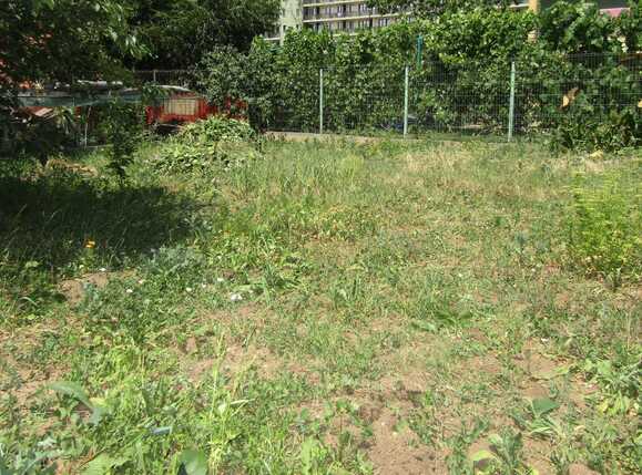 Teren de vânzare Intre Lacuri - 32053TV | BLITZ Cluj-Napoca | Poza1