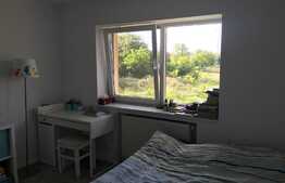 Casa individuala 110 mp, 244 mp teren, 20 ml, zona linistita