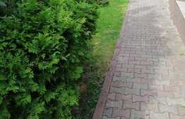 Casa individuala 430 mp, 542 mp teren, 14 ml, zona Grand Hotel Italia