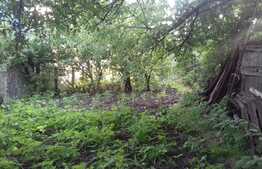 Pret oportun! Casa individuala 122 mp, teren 803 mp, front 12 ml, zona linistita