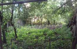 Pret oportun! Casa individuala 122 mp, teren 803 mp, front 12 ml, zona linistita