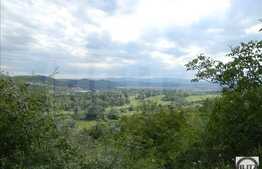 Casa individuala 50 mp, 1500 mp teren, front 30 ml, zona linistita