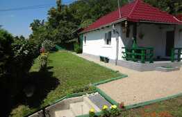 Casa individuala 50 mp, 1500 mp teren, front 30 ml, zona linistita