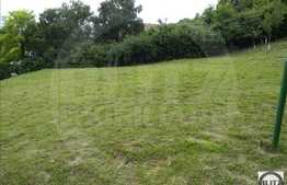 Casa individuala 50 mp, 1500 mp teren, front 30 ml, zona linistita