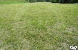 Casa individuala 50 mp, 1500 mp teren, front 30 ml, zona linistita