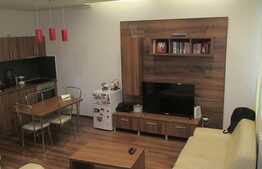 Apartament 2 camere, 46.50 mp utili + pod amenajabil cu aceeasi suprafata, parcare, boxa, zona The Office