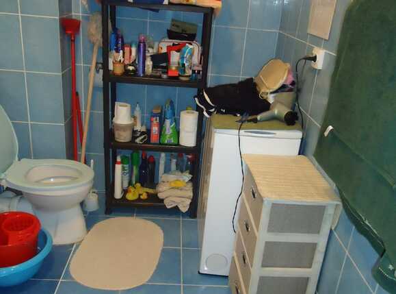 Garsonieră de vânzare Iris - 32080AV | BLITZ Cluj-Napoca | Poza9