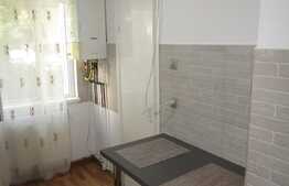 Apartament 2 camere, 50 mp, recent renovat, zona Constantin Brancusi