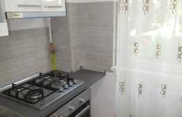 Apartament 2 camere, 50 mp, recent renovat, zona Constantin Brancusi