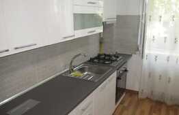 Apartament 2 camere, 50 mp, recent renovat, zona Constantin Brancusi