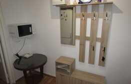 Apartament 2 camere, 50 mp, recent renovat, zona Constantin Brancusi