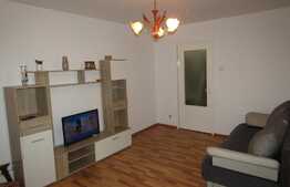 Apartament 2 camere, 50 mp, recent renovat, zona Constantin Brancusi