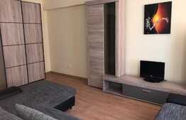 Apartament 1 camera, 45 mp, zona Universitatii Tehnice