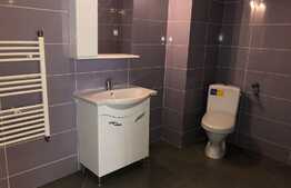 Apartament 1 camera, 45 mp, zona Universitatii Tehnice