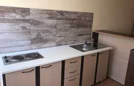 Apartament 1 camera, 45 mp, zona Universitatii Tehnice