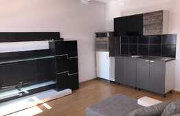 Apartament 1 camera, 45 mp, zona Universitatea Tehnica