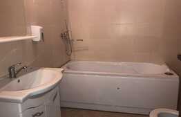 Apartament 1 camera, 45 mp, zona Universitatea Tehnica