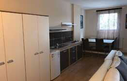 Apartament 1 camera, 50 mp, zona Universitatii Tehnice