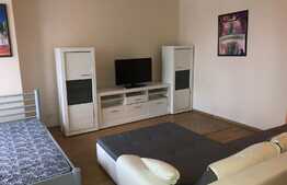 Apartament 1 camera, 50 mp, zona Universitatii Tehnice