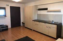 Apartament 1 camera, 42 mp, zona Universitatii Tehnice