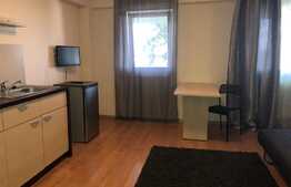 Apartament 1 camera, 42 mp, zona Universitatii Tehnice