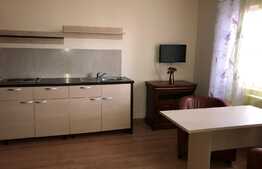 Apartament 1 camera, 42 mp, zona Universitatii Tehnice