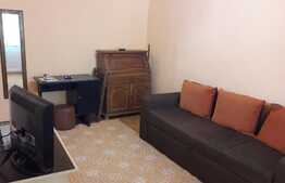 De inchiriat garsoniera, 25 mp, balcon, zona Expo Transilvania