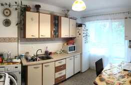 Apartament 2 camere, 44 mp, zona Spital Dominic Stanca