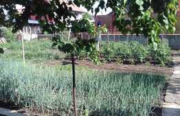 De vanzare casa 250 mp, teren 576, front 18 ml, zona Maramuresului