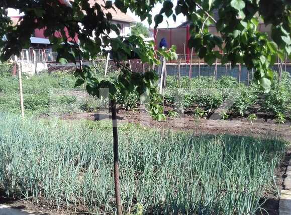 Casa de vânzare 4 camere Dambul Rotund - 32104CV | BLITZ Cluj-Napoca | Poza11