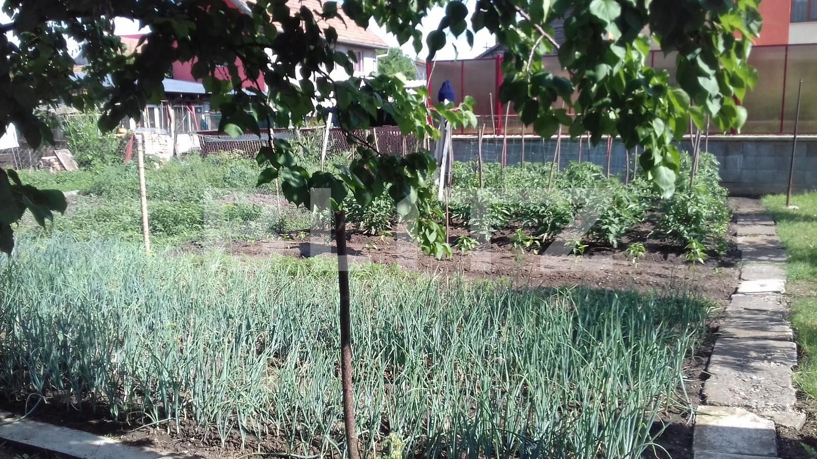 Casa de vânzare 4 camere Dambul Rotund - 32104CV | BLITZ Cluj-Napoca | Poza11