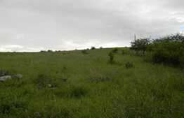 De vanzare teren intravilan, 416 mp, zona linistita