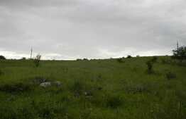 De vanzare teren intravilan, 416 mp, zona linistita