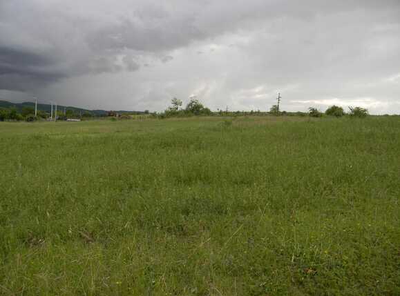 Teren de vânzare Dambul Rotund - 32105TV | BLITZ Cluj-Napoca | Poza5