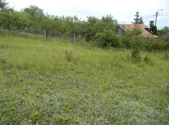 Teren de vânzare Dambul Rotund - 32105TV | BLITZ Cluj-Napoca | Poza1