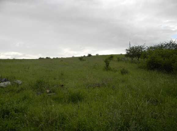 Teren de vânzare Dambul Rotund - 32105TV | BLITZ Cluj-Napoca | Poza4