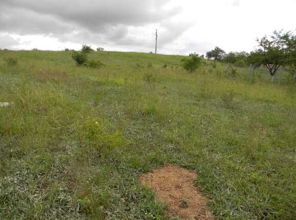 Teren de vânzare Dambul Rotund - 32105TV | BLITZ Cluj-Napoca | Poza2