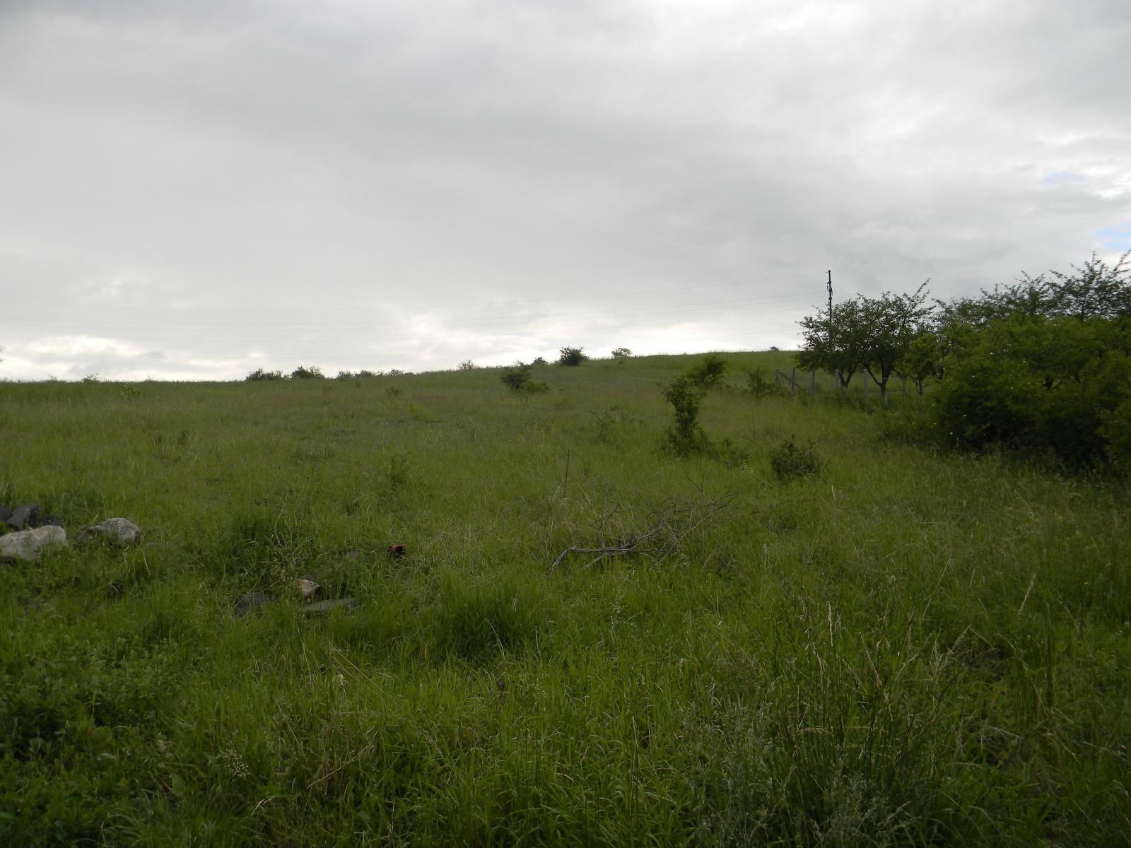 Teren de vânzare Dambul Rotund - 32105TV | BLITZ Cluj-Napoca | Poza4