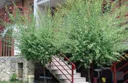 Casa de vanzare 103 mp, teren 150 mp, zona linistita