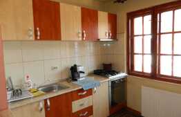 Casa de inchiriat, 200 mp, teren de 560 mp, front 15 mp, zona strazii Plevnei