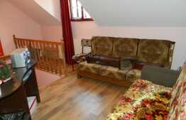 Casa de inchiriat, 200 mp, teren de 560 mp, front 15 mp, zona strazii Plevnei