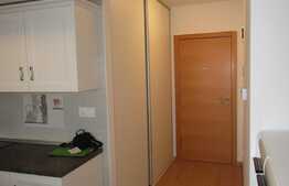 Apartament 3 camere, 84 mp, garaj, terasa 20 mp, AC, Complex Viva City