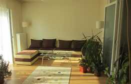 Apartament cu 2 camere, 46 mp, loc de parcare! Zona strazii Florilor!